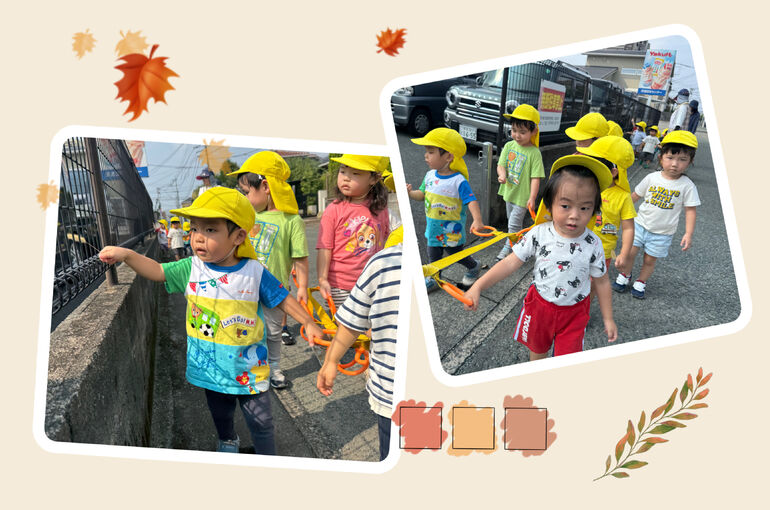 C03B37D0-8945-4872-989C-49A91E3F7267