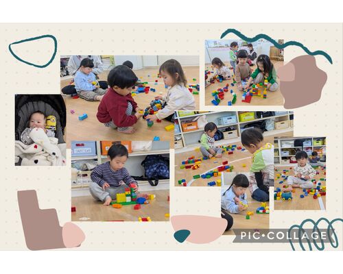 Collage_2026-02-01_18_59_50